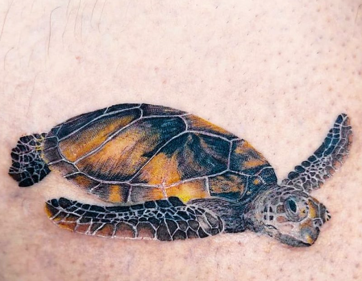 realistic sea turtle tattoo