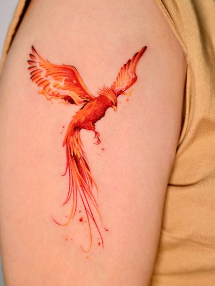 watercolor phoenix tattoo designs